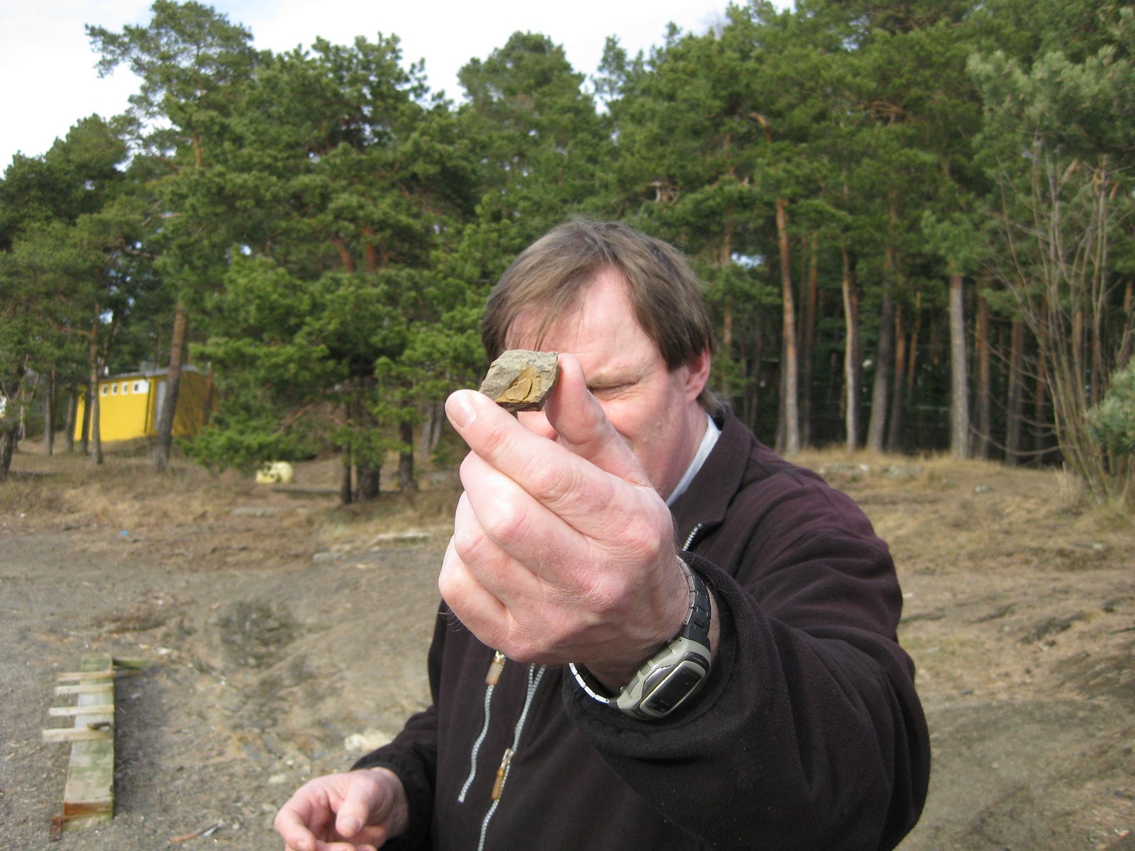 Modern Fossiljakt på Ulvøya en tidlig vårdag i mars... (når et fossil